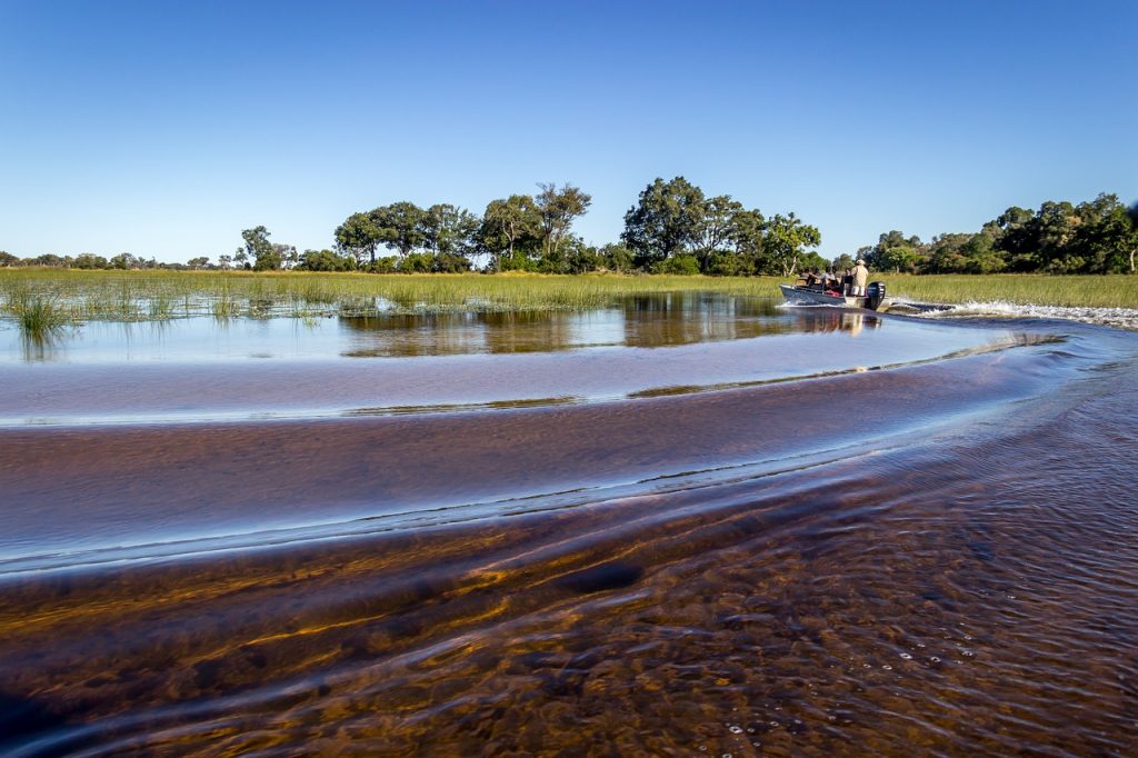 okavango