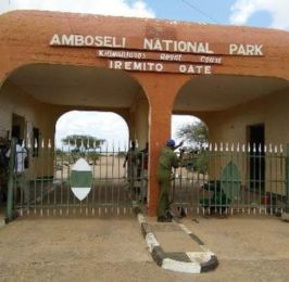 Amboseli Train Package