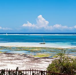 Diani Flying Package