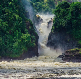 Exploring Murchison Falls and the Source of the Nile